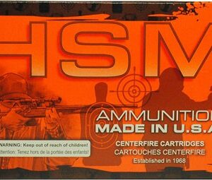 HSM 300 AAC 220GR SIERRA BTHP