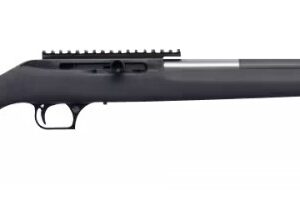 MAGNUM RESEARCH MAGNUM LT 17HMR STRAIGHT PULL