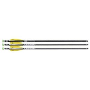 TenPoint EVO-X CenterPunch Lighted Alpha-Blaze Carbon Arrows 20" 3 Pack