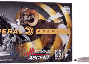 FEDERAL 270 WIN 136GR TERMINAL - ASCENT 20RD 10BX/CS