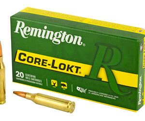 REM 243WIN 100GR PSP CL 20/200